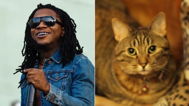 A Brief History Of Lil B Making Songs With His Cat