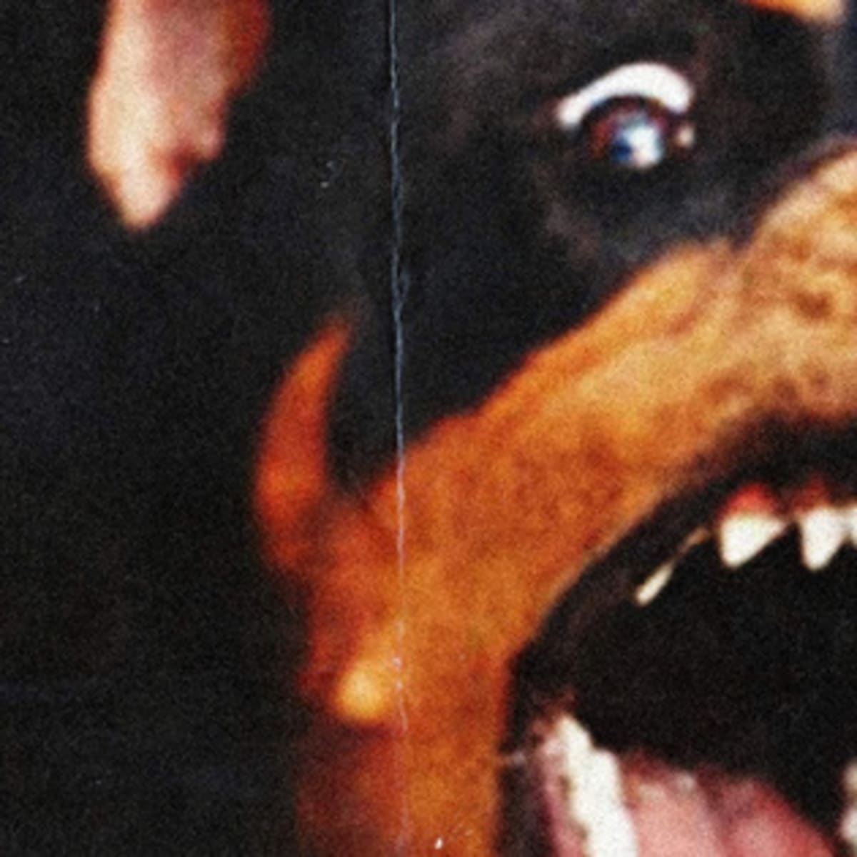 Offset 21 Savage Metro Boomin Without Warning Album Review