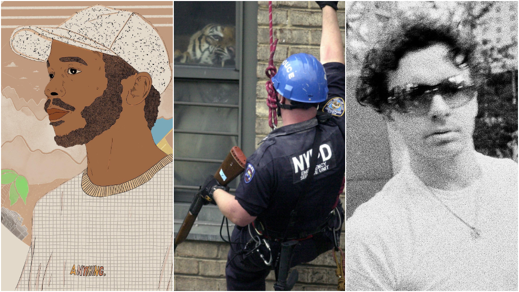 The Anatomy of Comfort Music