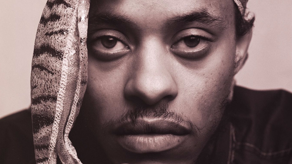 This Isn’t Even Pink Siifu’s Final Form